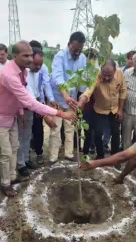 मोहम्मदी: मोहम्मदी वन विभाग के माध्यम से पुवायां रोड पर वन महोत्सव कार्यक्रम का किया गया आयोजन