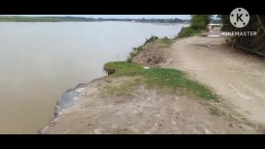 बहादुरगंज: महेशबथना गांव के समीप से होकर बहने वाली कनकई नदी का बढ़ा जलस्तर, कटाव हुआ तेज