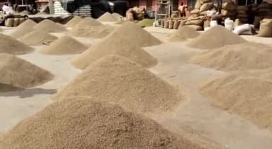 मेड़ता: कृषि मंडी मेड़ता सिटी में व्यापारिक सप्ताह के पहले दिन जमकर हुआ कारोबार, ₹25500 प्रति क्विंटल में बिकी सौंफ