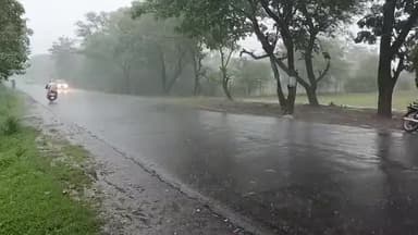 रायसेन: ज़िले में 1 जून, 2023 से अब तक 221.5 मिलीमीटर औसत वर्षा दर्ज, बीते 24 घंटे में हुई 4.4 मिलीमीटर औसत वर्षा