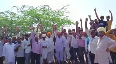 मेड़ता: सोगवास के ग्रामीणों ने गोसेवा की पेश की मिसाल, 200 बीघा ओरण भूमि पर गायों के चारे के लिए ज्वार की बुवाई