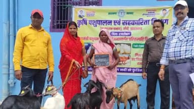 कटकमदाग: कटकमदाग पंचायत में गरीब, असहाय महिलाओं के बीच 12 यूनिट बकरी किया गया वितरण