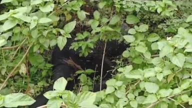 बीना: खुरई रोड स्थित ज्योति विहार कॉलोनी में संदिग्ध हालत में मिला अज्ञात युवक का शव, मौके पर पहुंची पुलिस