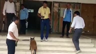 हुज़ूर: पीसीसी कार्यालय की सुरक्षा पर मंडरा रहा खतरा , टीम ने पीसीसी दफ्तर का  लिया जायजा