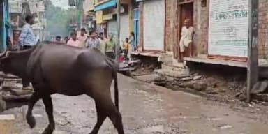 पचोर: सुल्तानिया में नाली निर्माण और अतिक्रमण को लेकर हुए विवाद के बाद तहसीलदार ने पहुंचकर किया मौका मुआयना