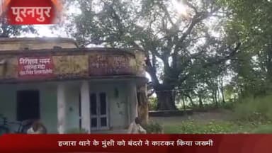 पूरनपुर: हजारा थाने के मुंशी को बंदरो ने काटकर किया जख्मी,उपचार के लिए पलिया सीएचसी मे कराया भर्ती