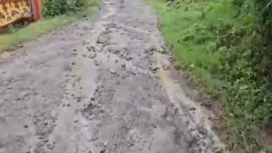 शिमला ग्रामीण: चनोग पंचायत के स्थानीय लोगों ने प्रशासन से आग्रह किया कि चनोग पंचायत की सड़क को दुरुस्त किया जाएं