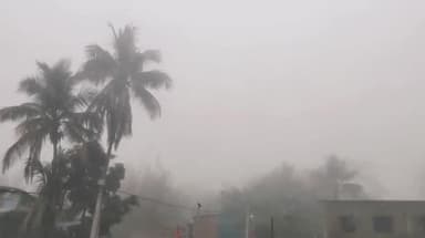 कस्बा: मौसम विभाग ने दी चेतावनी, अगले 3 घंटे में कसबा प्रखंड के क्षेत्रों में बारिश के साथ वज्रपात की संभावना