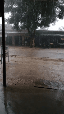 झांसी: #baarish se garmi or umas Mai milti rahat ki saans@