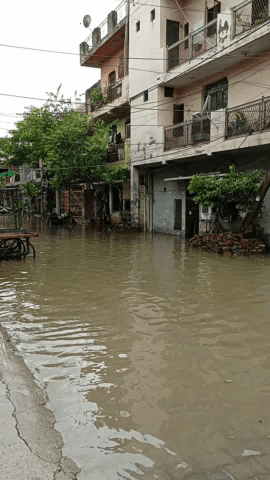 गाज़ियाबाद: Nandigram CBlock Ghaziabad पुरा नंदग्राम् पनिमय हो गया #nandgramrains #Ghaziabadnagarnigam #sunitadayal  #updatenew