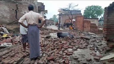 दीवार गिरने से एक भैंस की मौत, दूसरी भैंस व एक महिला घायल