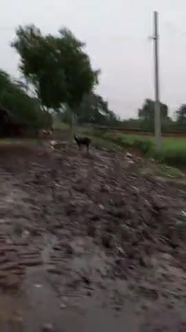 पुरवा: Pradhan dwara na Kiya Gaya Koi kam Janata Ho Gai pareshan#madanlaldhingra