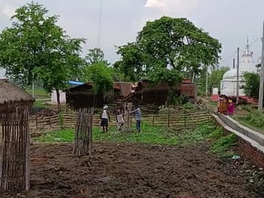 ग्राम बढ़ेता टोला पाठक बिगहा मे फलदार बृक्षों का बृक्षारोपण