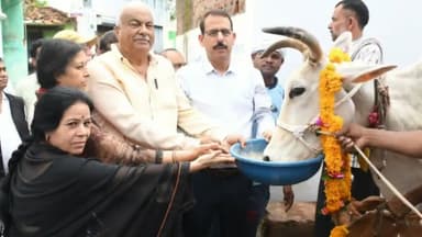 सागर नगर: पशु विचरण मुक्त सागर की मुहिम में सहयोग देते हुए पशुपालक ने स्वेच्छा से अपने 45 पशुओं को किया शहर से बाहर शिफ्ट