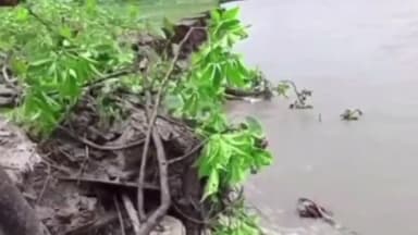 जोगापट्टी: सिसवा मंगलपुर में गंडक नदी का कटा हुआ तेज दर्जनों एकड़ फसल नदी में हुआ विलिन