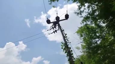 धमदाहा: लोहिया चौक धमदाहा के समीप टूटकर गिरा 11000 वोल्ट की सप्लाई वाला तार, बाल बाल बची स्कूली छात्रा