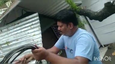 डलमऊ: शंकर नगर मोहल्ले में वर्षों पुराना नीम का पेड़ गिरा बड़ा हादसा होने से टला