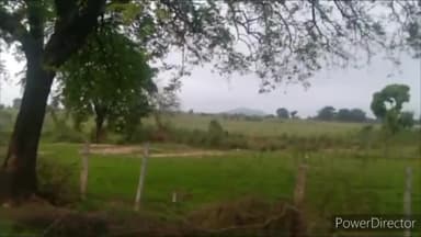 पन्ना: पन्ना टाइगर रिजर्व की सीमा से लगे ग्राम जरधोवा में किसान के खेत में बाघ दिखने से मचा हड़कंप, वन विभाग को दी गई जानकारी