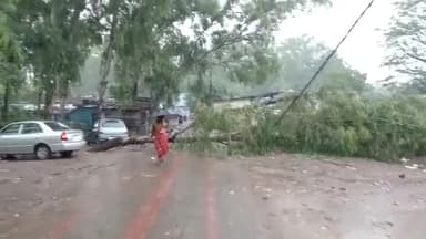 पंचकूला: लगातार हो रही बारिश से सेक्टर 1 खड़क मंगोली के पास सड़क पर गिरा पेड़ और कई जगह जलभराव की स्तिथि