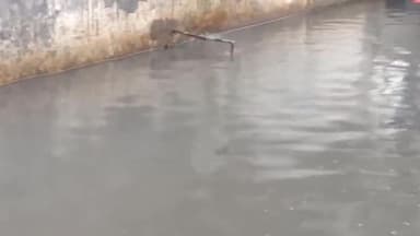 जगाधरी: लाजपत नगर के साथ अन्य कई जगहों पर लोगों के घरों में घुसा पानी शिकायत करने पर भी नहीं निकल रहा है