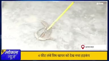 #इटवा: 4 फीट बिच्छ झपड़ देख कर मचा हडकंप, वन विभाग ने चलाया रेजाउर.