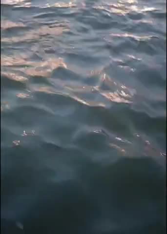 सावन के प्रथम सोमवार पर आप सभी महादेव के भक्तों पर उनकी कृपा दृष्टि सदा बनी रहे।

#ॐनमःशिवाय #हरहरगंगे #बनारस #काशी_विश्वनाथ #varanasi #जय_महाकाल