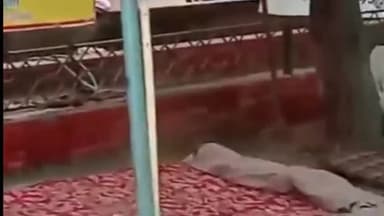 हिसार: लघु सचिवालय पर क्लर्कों की हड़ताल को मिल रहा है कर्मचारी यूनियनों का समर्थन, धरना आज भी रहा जारी