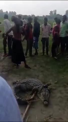 कन्नौज: कासिमपुर गांव के पास गंगा के किनारे मगरमच्छ निकलने से लोगों में मचा हड़कंप, वन विभाग की टीम ने किया रेस्क्यू