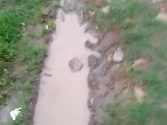 रॉबर्ट्सगंज: ग्राम पिपरा के सड़कों की दुर्दशा...
#Pipra #hinauta