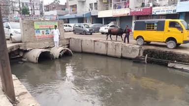 #मौत_का_नाला_सैदपुर_नहर_नाला
ना जानें कितने #घरों की #खुशियां अब तक #छीन चुका है।
वक्त आ चुका है घरों से निकले और अपने हक के लिए बुलंद आवाज से बहरी गूंगी सरकार को जगाएं।
दिनांक 12/07/23 को भूख हड़ताल सह सत्याग्रह का हिस्सा बने