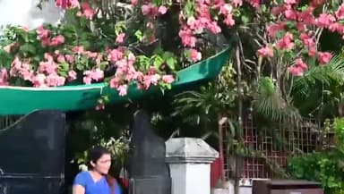 मध्यप्रदेश में लाडली बहनों के नाम पर किस तरह उनके साथ ठगी की जा रही है यह लघु वीडियो ने बताया है हम सब इस वीडियो को देखें और समझे ।