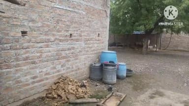 जीरापुर: कुण्डीखेडा में विवाहिता ने दहेज प्रताड़ना को लेकर पति व भानेज के खिलाफ कराया केस दर्ज