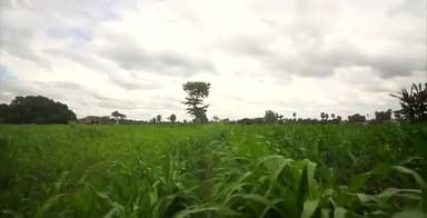 आसमानी बिजली से बचने के उपाए l