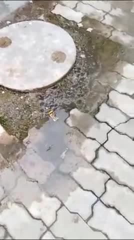 कानपुर नगर निगम की लापरवाही केशव पुरम आवास विकास कल्याणपुर सेक्टर L कात्यानी स्कूल के पीछे  ,पार्षद कौशल मिश्रा जी