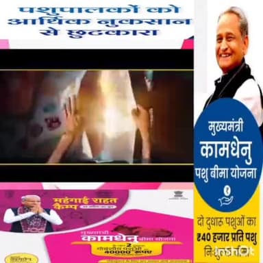 राजस्थान सरकार की कामधेनू योजना