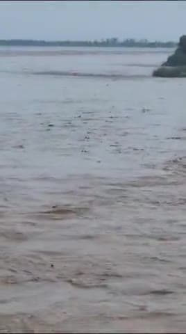 #बाढ़-का #खतरा अब #जानवरों पर भी #गंगा  में  #बह दो #हिरन