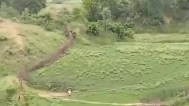 त्योंथर: त्योंथर अनुभाग के काटिकान टोला में नहीं है रास्ता ग्रामीण परेशान, कलेक्टर को सौंपा गया ज्ञापन