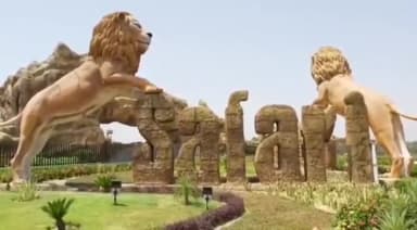 इटावा: लायन सफारी में शेरनी सोना के चौथे शावक की मौत से सफारी प्रशासन में छाई मायूसी, पहले 3 तोड़ चुके दम