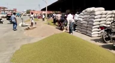 मेड़ता: कृषि उपज मंडी मेड़ता सिटी में जीरे के भाव में ₹1 हजार का आया उछाल, ₹63 हजार प्रति क्विंटल तक पहुंचे जीरे के भाव