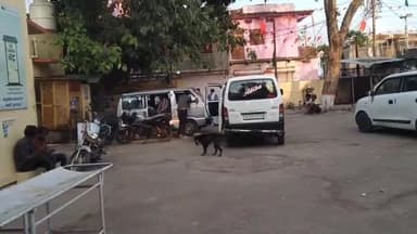 बकानी: सांप के काटने से बावड़ी खेड़ा गांव निवासी एक महिला हुई अचेत, सीएचसी से जिला अस्पताल किया गया रेफर