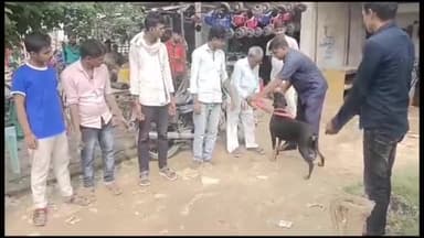 गोंडा: कस्बा बग्गीरोड पर मंगलवार की रात दो दुकानों में चोरी मामले में डॉग स्क्वायड टीम ने घटना स्थल पर पहुंचकर की जांच पड़ताल