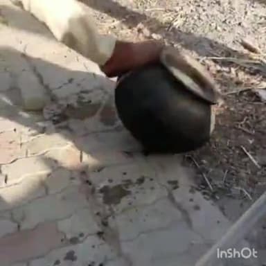 कलेर: वालिदाद नट बीघा में छापेमारी कर 300 किलो जावा महुआ एवं अर्ध निर्मित शराब को किया गया विनष्ट