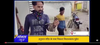 मडियादो हनुमान मंदिर के पास निकला जहरीला गुहेरा
सर्प विशेषज्ञ नवीन खान द्वारा रेस्क्यू किया गया
#madiyado #damoh