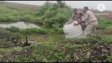 जीरापुर: कालीकाबे में कंजरो के डेरे पर अवैध शराब पर पुलिस ने की कार्रवाई, 5000 लीटर महुआ लाहन नष्ट व 150 लीटर कच्ची शराब की जब्त