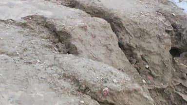 बलरामपुर समाचार एक करोड़ ₹95000 खर्चहोने के बाद भी गांव वासियों को नहीं विश्वास की  राप्ती नदी के कटान से बच पाएगा गांव मामला ग्राम पयागपुर धोदरी विकासखंड बलरामपुर का है जहां पर जल शक्ति मंत्री स्वतंत्र देव सिंह जी को आना था गांव वासियों का