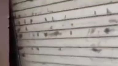 इकौना: मोहनीपुर चौराहे पर ज्वेलर्स की दुकान की शटर काटकर चोरों ने की चोरी