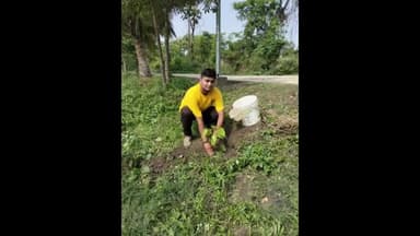 बेगूसराय: मंडल कारा परिसर में समाजिक कार्यकर्ताओं के द्वारा किया गया पौधारोपण