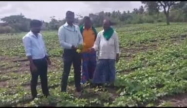 ಶಿರಹಟ್ಟಿ: ಮಾಗಡಿ ಗ್ರಾಮಕ್ಕೆ ಸಹಾಯಕ ಕೃಷಿ ನಿರ್ದೇಶಕ ರೇವಣೆಪ್ಪ ಮನಗೂಳಿ ಭೇಟಿ; ಬೆಳೆ ಪರಿಶೀಲನೆ