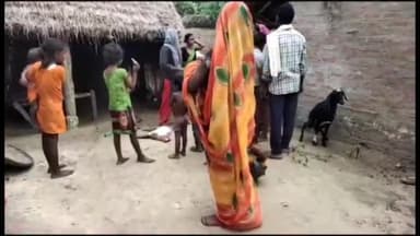 बलरामपुर: ग्राम पंचायत चौधरीडीह में तेंदुए ने दो बकरियों को बनाया अपना शिकार