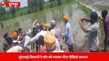 पूरनपुर: घुंघचाई पेट्रोल पंप के पास चोरों को पकड़कर किसानों ने जमकर की पिटाई वीडियो वायरल